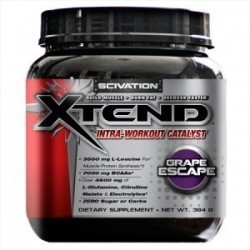 SCIVATION Xtend 384 gram